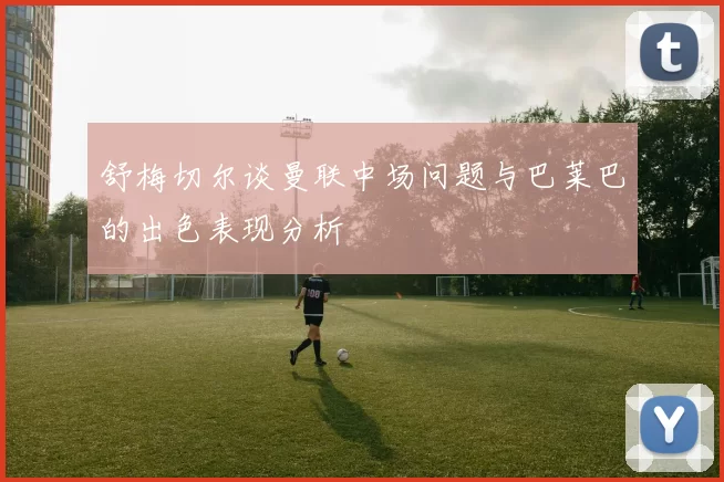 舒梅切尔谈曼联中场问题与巴莱巴的出色表现分析