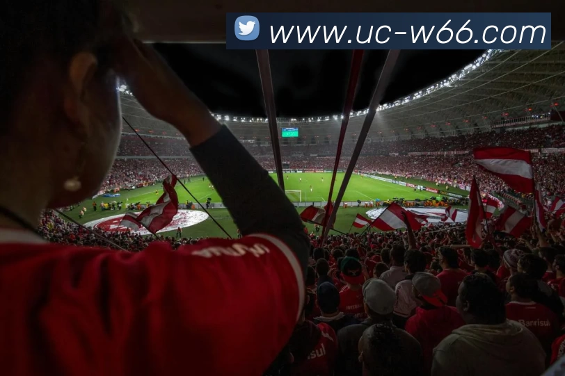 利来国际APP 封面图